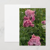 ラベンダーオリエンタルポピー ノートカード (正面/裏面)