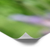 ラベンダーガーデンのトンボ ポスター (角)