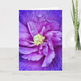 ラベンダーシフォンハイビスカス空白のグリーティングカード 招待状