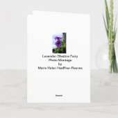 ラベンダーシャドウフェアリー シーズンカード (裏面)