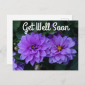 ラベンダーダリア薄紫すぐハガキ ポストカード (正面/裏面)