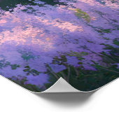 ラベンダードリームズの野原 ポスター (角)