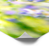 ラベンダードリーム ポスター (角)