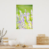 ラベンダードリーム ポスター (キッチン)