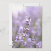 ラベンダーヌプチアル 招待状 (裏面)