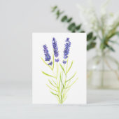 ラベンダーハーブラベンダーの花の水色 ポストカード (スタンド正面)