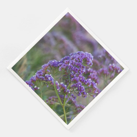 ラベンダーバイザ海 (コーナー)