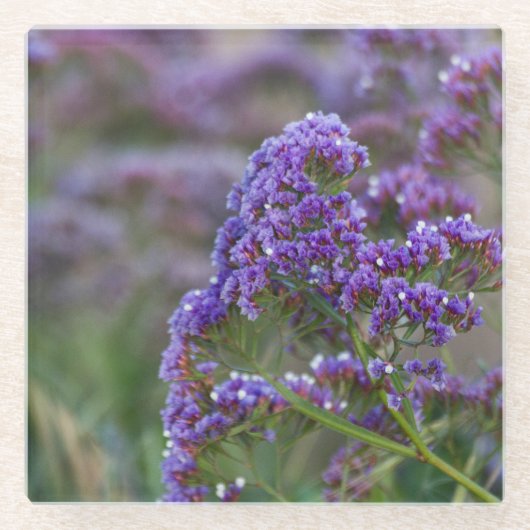 ラベンダーバイザ海 ガラスコースター (正面)