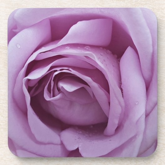 ラベンダーバラ コースター (正面)