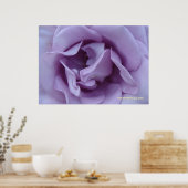 ラベンダーバラ ポスター (キッチン)