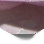 ラベンダーバラ ポスター (角)