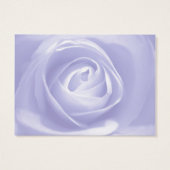 ラベンダーバラ、日付の保存 (裏面)