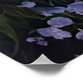 ラベンダーバレーアットドーン ポスター (角)