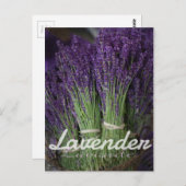 ラベンダーバンチ ポストカード (正面/裏面)