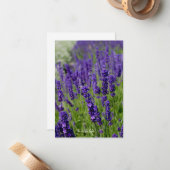 ラベンダーパッチ ノートカード (正面/裏面インサイチュ)