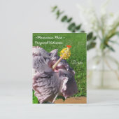 ラベンダーパープルトロピカルハイビスカスハガキ ポストカード (スタンド正面)