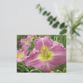 ラベンダービスタデイリリー ポストカード (スタンド正面)