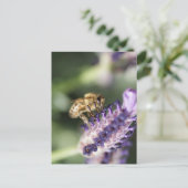 ラベンダービー ポストカード (スタンド正面)