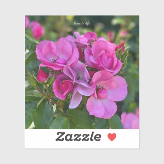 ラベンダーピンクローズ シール (シート)