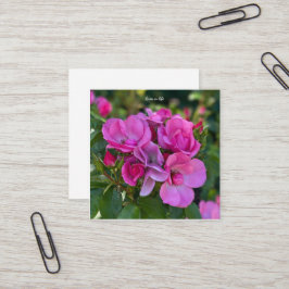 ラベンダーピンクローズ スクエア名刺