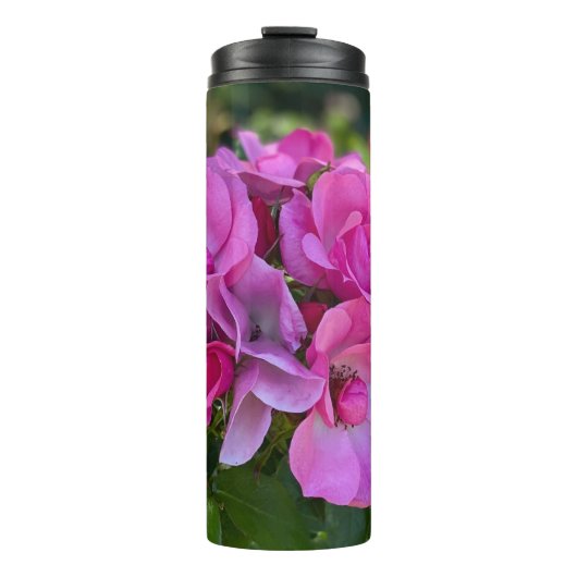 ラベンダーピンクローズ タンブラー (正面)