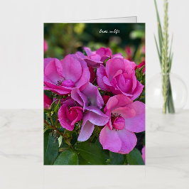 ラベンダーピンクローズ 箔グリーティングカード