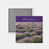 ラベンダーファームフィールド – プロヴァンス マグネット (正面/裏面)