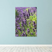ラベンダーファーム キャンバスプリント (インサイチュ (ウッドフロア))