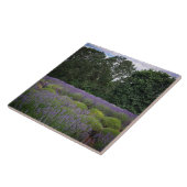 ラベンダーファーム タイル (側面)