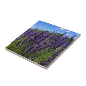 ラベンダーファーム タイル (側面)