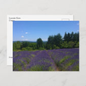 ラベンダーファーム ポストカード (正面/裏面)
