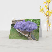 ラベンダーフィルドホイールバロー カード (黄色い花)