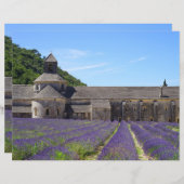 ラベンダーフィールズオブセナンケアビースクラップブック紙 (正面/裏面)