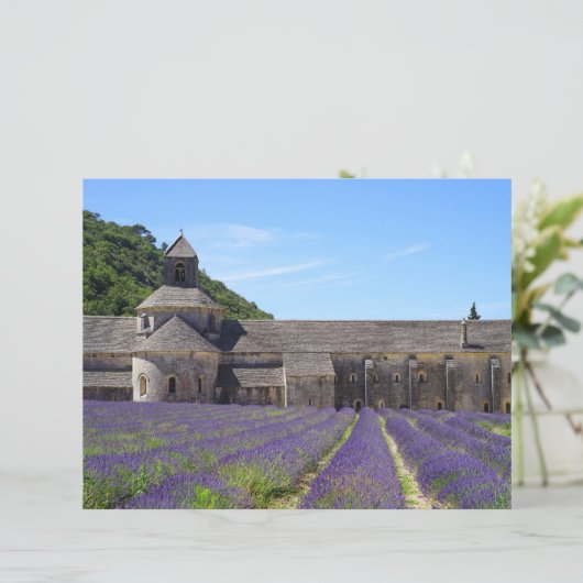 ラベンダーフィールズオブセナンケアビースクラップブック紙 (スタンド正面)