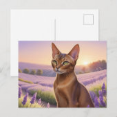 ラベンダーフィールドのアビシニアン猫 ポストカード (正面/裏面)