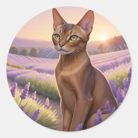 ラベンダーフィールドのアビシニアン猫 ラウンドシール (正面)