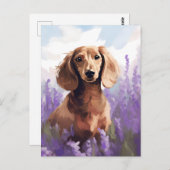 ラベンダーフィールドのダシュント ポストカード (正面/裏面)