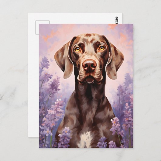 ラベンダーフィールドのドイツ語の短いポインタ ポストカード (正面/裏面)