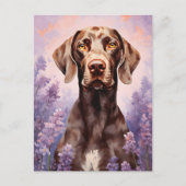 ラベンダーフィールドのドイツ語の短いポインタ ポストカード (正面)