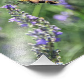 ラベンダーフィールドのハミングバードクリアリングガ フォトプリント (角)