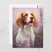 ラベンダーフィールドのブリタニー犬 ポストカード (正面/裏面)