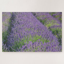 ラベンダーフィールドパズル ジグソーパズル