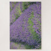 ラベンダーフィールドパズル ジグソーパズル (縦)