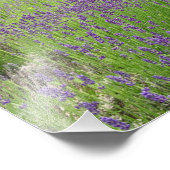 ラベンダーフィールドフォトアート フォトプリント            (角)