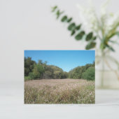 ラベンダーフィールド葉書 ポストカード (スタンド正面)