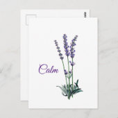 ラベンダーフラワー感動的落ち ポストカード (正面/裏面)