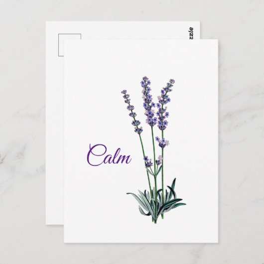 ラベンダーフラワー感動的落ち ポストカード (正面/裏面)