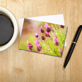 ラベンダーフランスのフラワーノートカード ノートカード