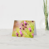 ラベンダーフランスのフラワーノートカード ノートカード (正面)