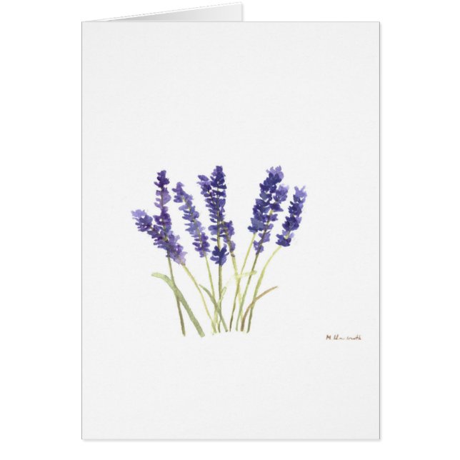 ラベンダーフランスの花 (正面)